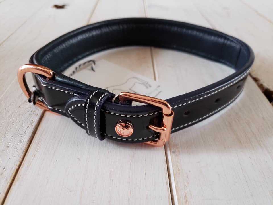 Pup & Pony Co. Grand Prix Special Collar