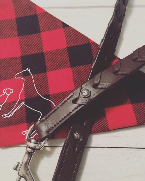 Pup & Pony Co. Hickstead Leash