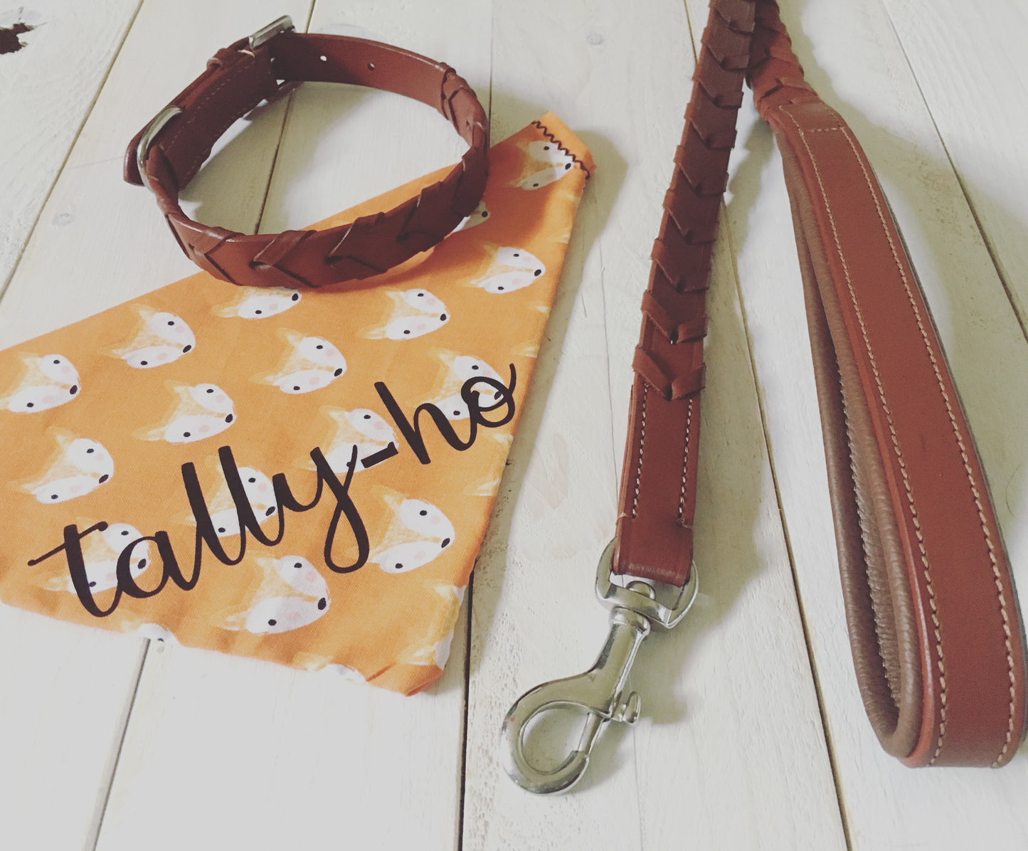 Pup & Pony Co. Tally-ho Bandana