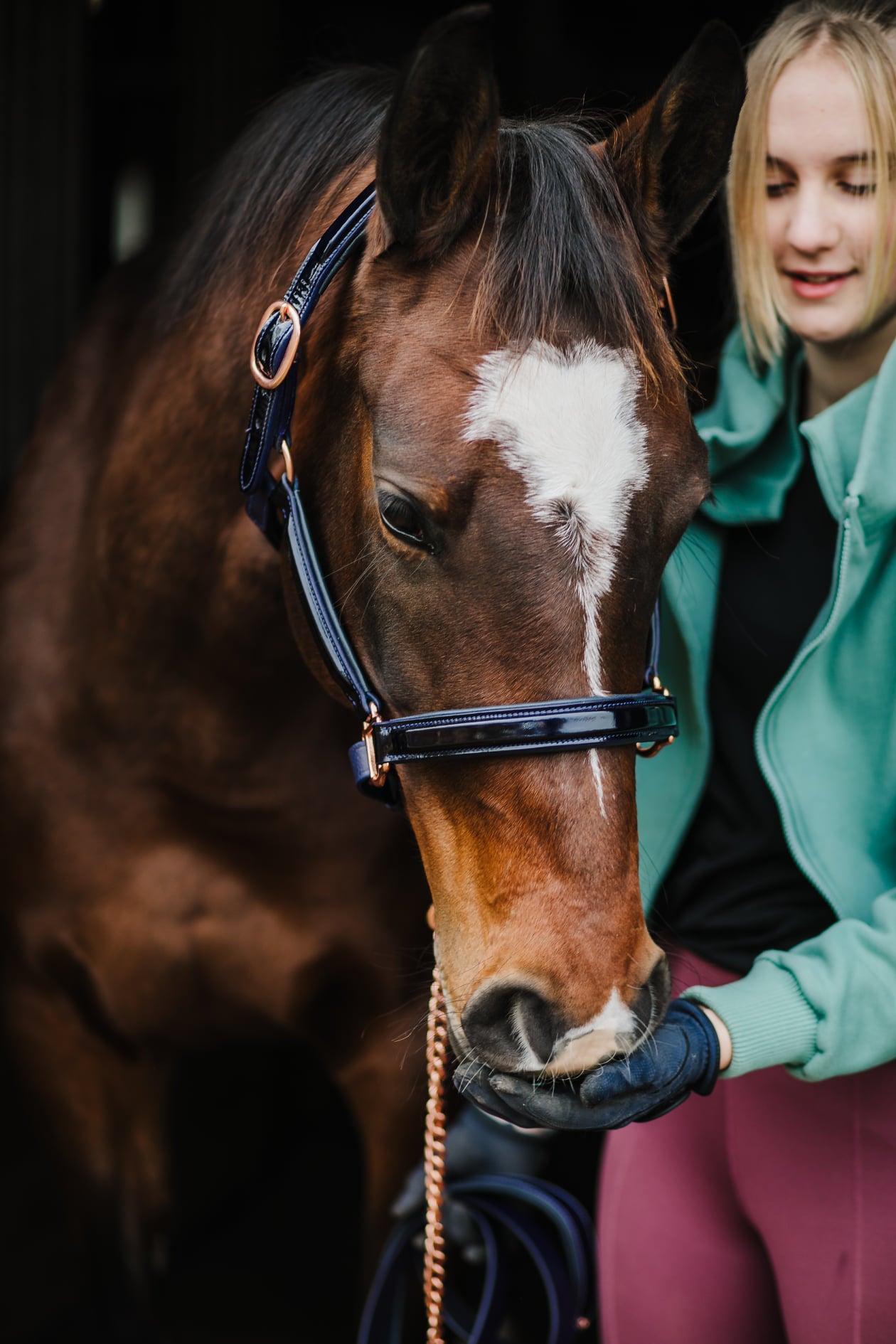 Pup & Pony Co. Grand Prix Halter