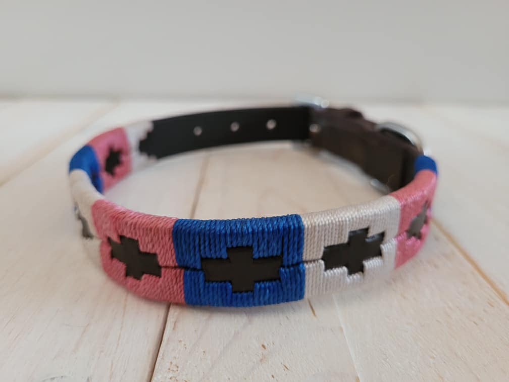 Pup & Pony Co. Polo Collar