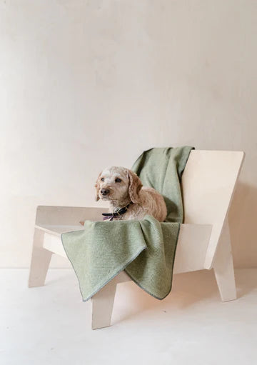 Tartan Blanket Co. Large Pet Blanket in Olive Herringbone