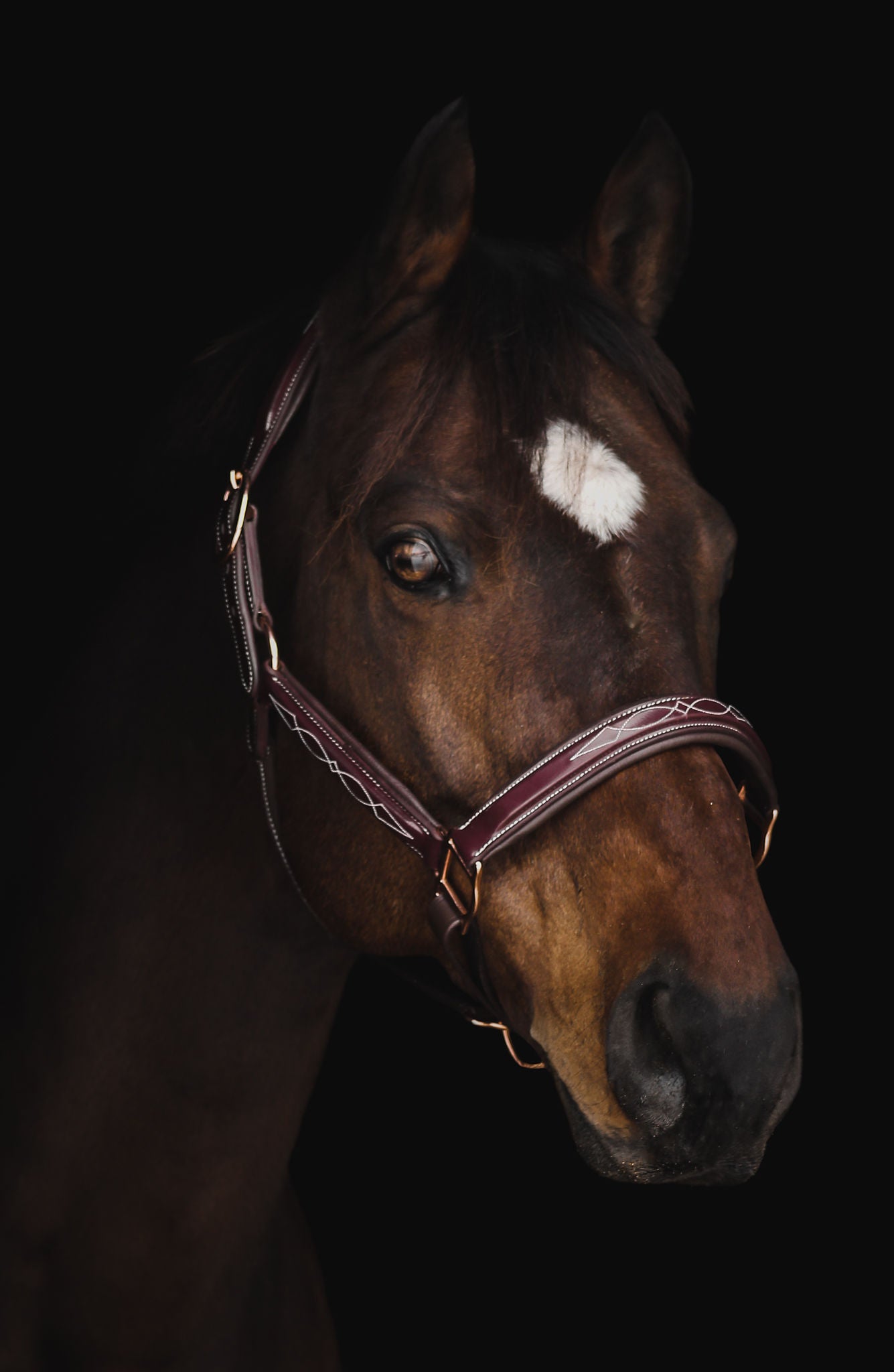 Pup & Pony Co. Grand Prix Special Halter
