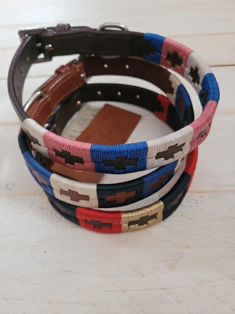 Pup & Pony Co. Polo Collar