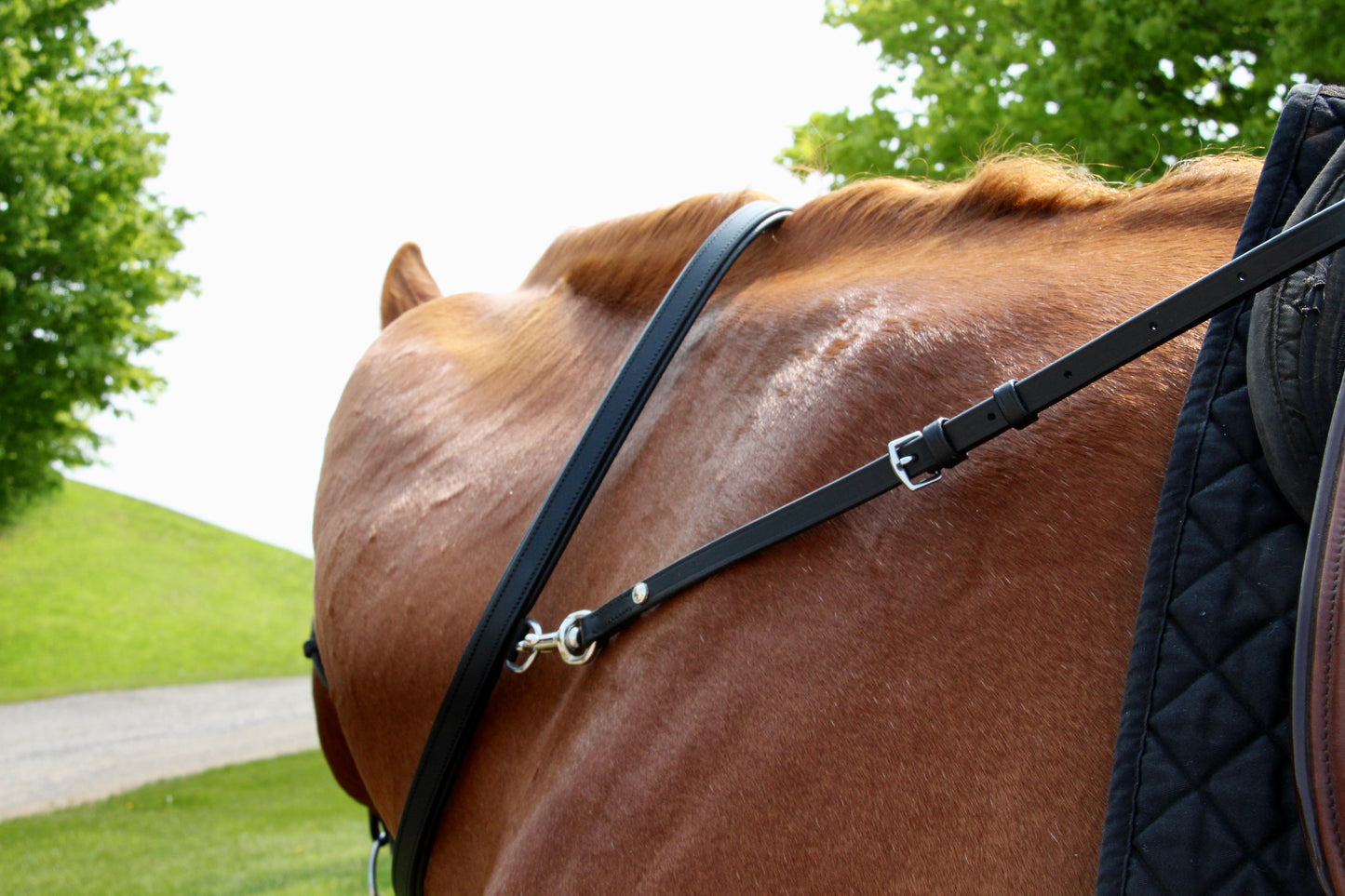 Pup & Pony Co. Padded Leather Neck Strap with Saddle Attachment