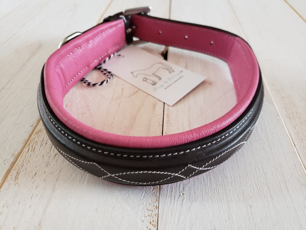 Pup & Pony Co. Derby Collar