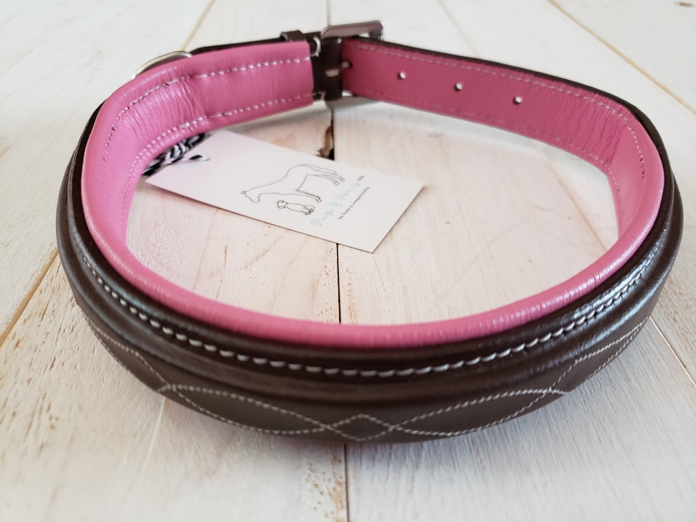 Pup & Pony Co. Derby Collar