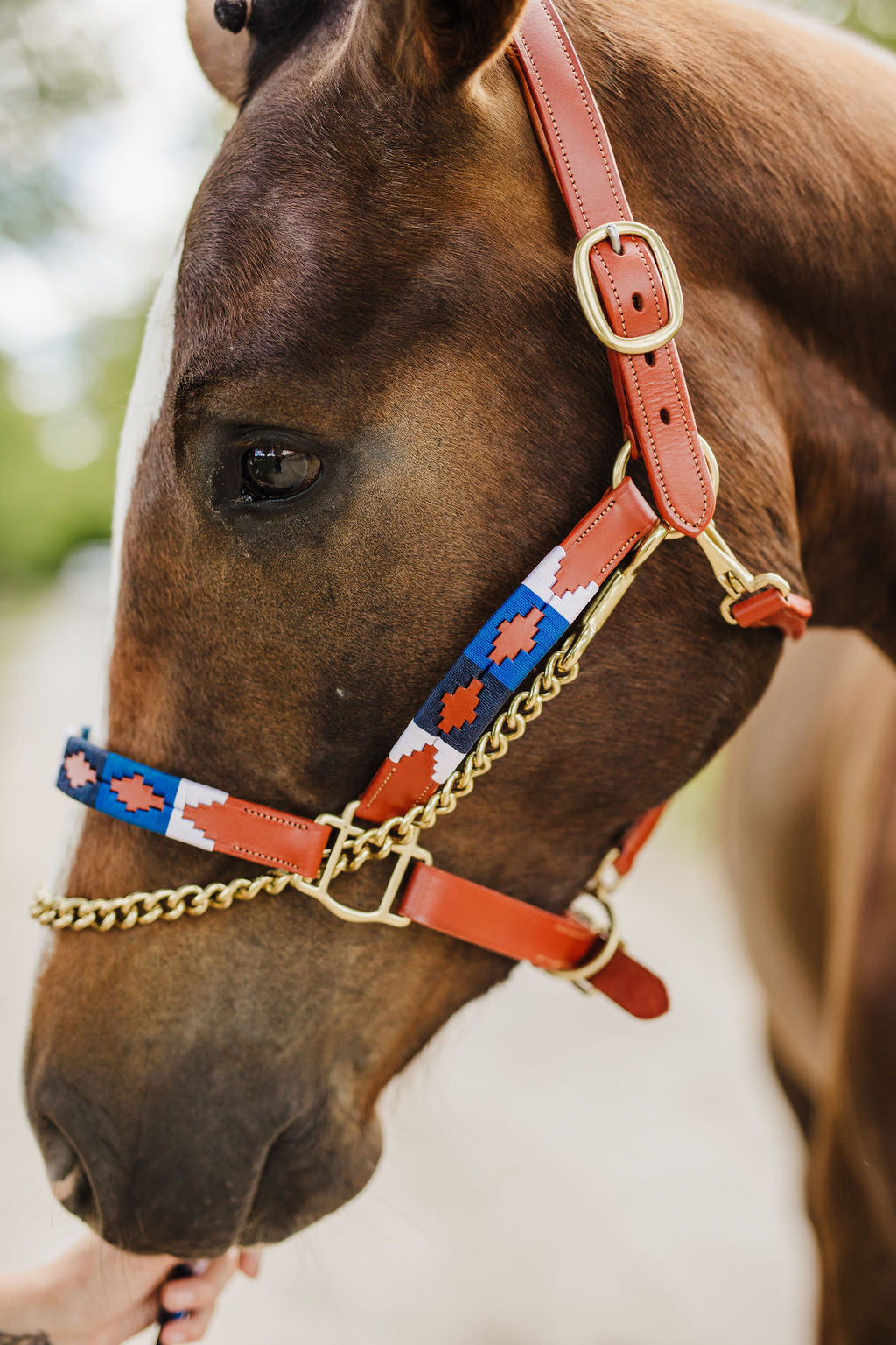 Pup & Pony Co. Polo Halter