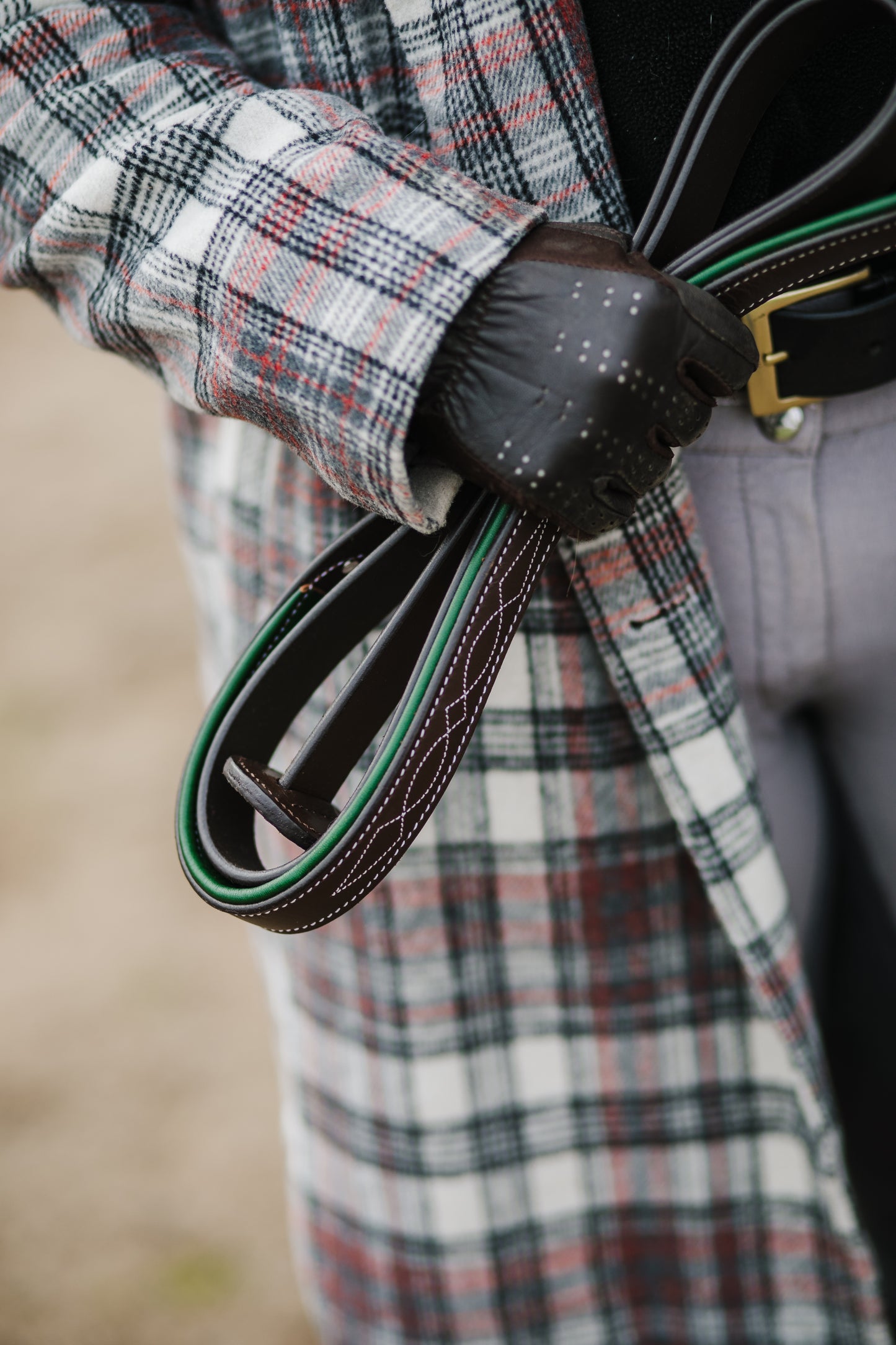 Pup & Pony Co. Belmont Lead Shank