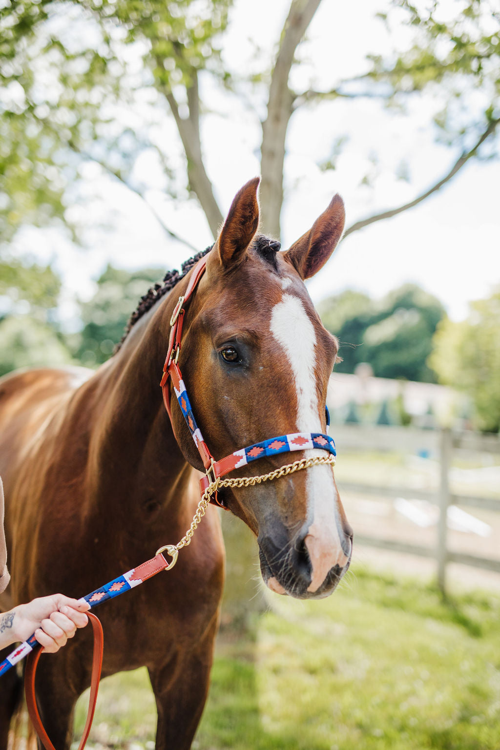 Pup & Pony Co. Polo Lead Shank