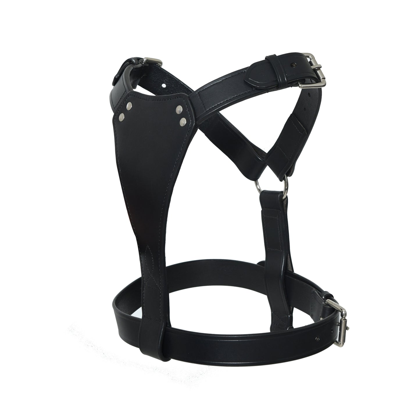Pup & Pony Co. Leather Dog Harness