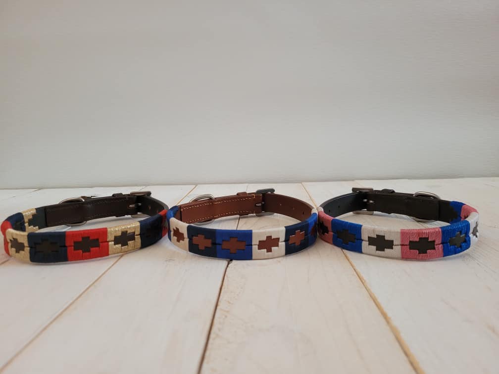 Pup & Pony Co. Polo Collar