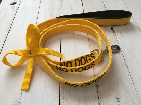 Pup & Pony Co. Yellow Ribbon Leash